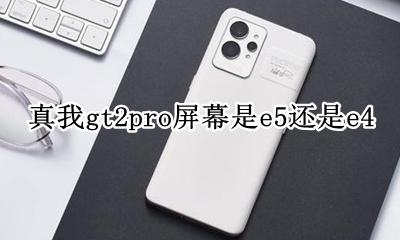 真我gt2pro屏幕是e5还是e4 真我gt2pro屏幕材质