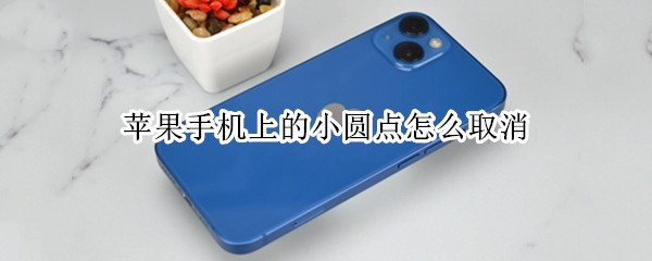 苹果手机上的小圆点怎么取消