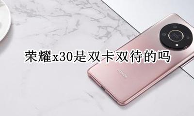 荣耀x30是双卡双待的吗 x30pro是双卡双待吗