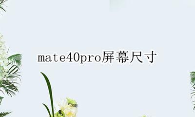 mate40pro屏幕尺寸 mate40pro屏幕多少寸