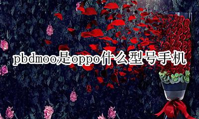 pbdmoo是oppo什么型号手机 oppo手机pbamoo型号多少钱