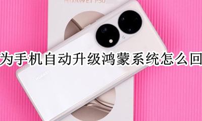 华为手机怎么升级至鸿蒙系统 华为手机自动升级鸿蒙系统怎么回事