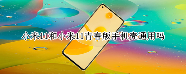 小米11和小米11青春版手机壳通用吗