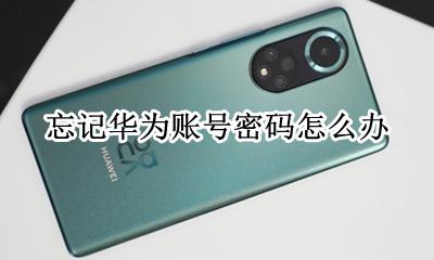 忘记华为账号密码怎么办 华为账号密码忘了怎么找回密码