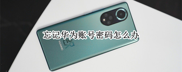 忘记华为账号密码怎么办