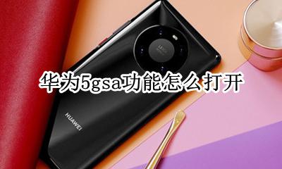 华为5g怎么打开5g 华为5gsa功能怎么打开