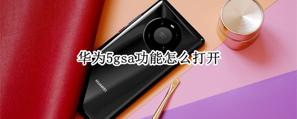 华为5gsa功能怎么打开