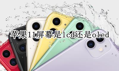苹果11还是lcd屏 苹果11屏幕是lcd还是oled