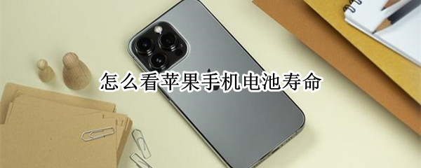 怎么看苹果手机电池寿命