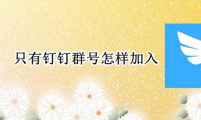 如何添加钉钉群号 只有钉钉群号怎样加入