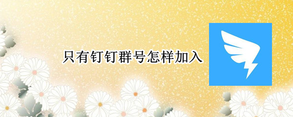 只有钉钉群号怎样加入