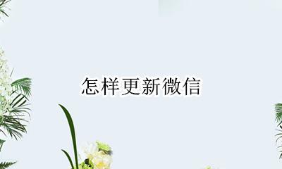 怎样更新微信 微信更新版本