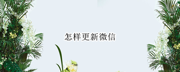 怎样更新微信