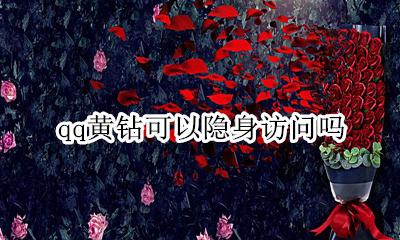 qq黄钻如何隐身访问 qq黄钻可以隐身访问吗