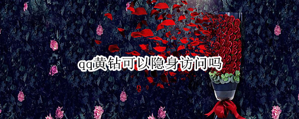 qq黄钻可以隐身访问吗