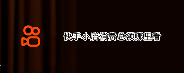 快手小店消费总额哪里看