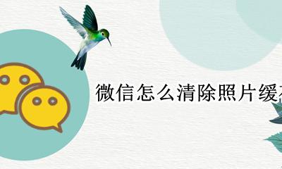 微信怎么清除照片缓存 微信怎么清除图片缓存