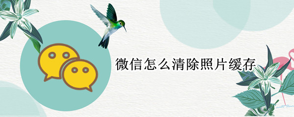 微信怎么清除照片缓存
