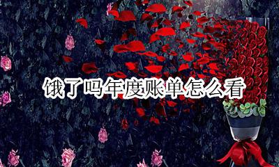 饿了吗年度账单怎么看 饿了么年度账单怎么看