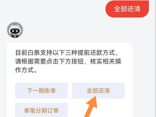 白条全部还清怎么还