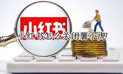 小红书怎么关闭薯小虎 如何关闭薯小虎