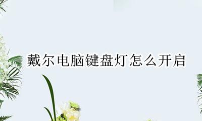 戴尔电脑键盘灯怎么开启 戴尔如何打开电脑键盘灯光