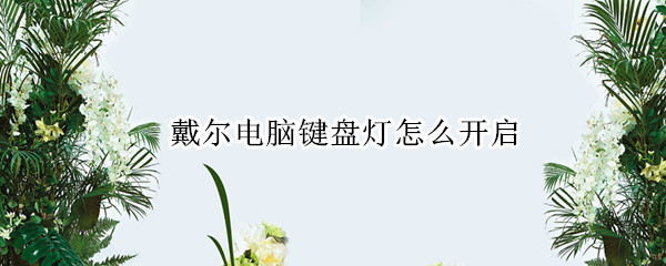 戴尔电脑键盘灯怎么开启