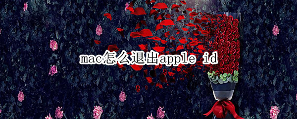 mac怎么退出apple id