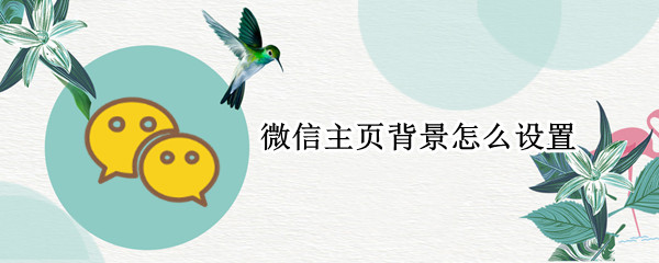 微信主页背景怎么设置