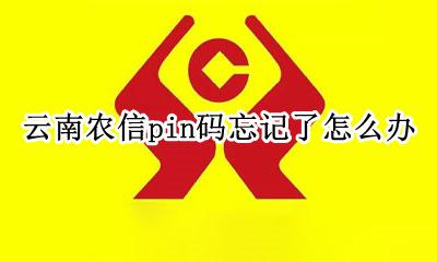 云南农信pin码忘记了怎么办 农村信用社云证书pin码忘记了怎么办?
