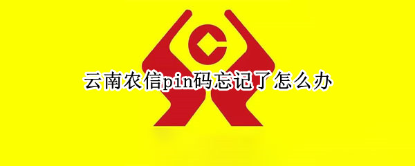 云南农信pin码忘记了怎么办