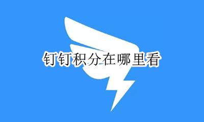 钉钉积分在哪里看 蚂蚁积分在哪里看