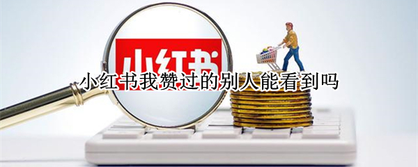 小红书我赞过的别人能看到吗