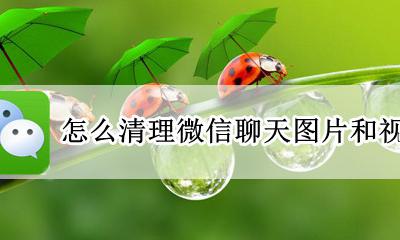 怎么清理微信聊天图片和视频 怎样清除微信聊天记录与视频图片