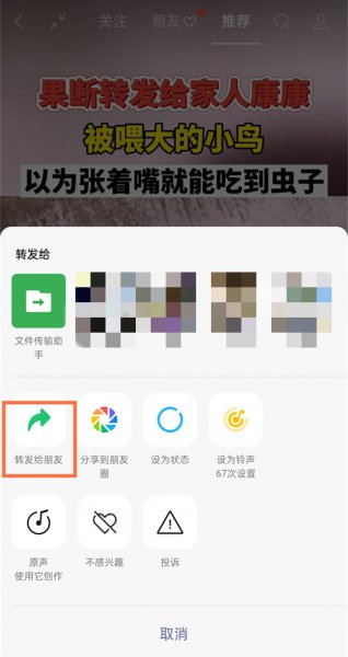 微信视频号怎么分享链接