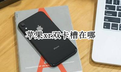 苹果xr双卡卡槽 苹果xr双卡槽在哪