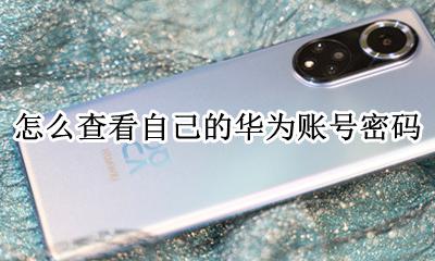 如何查看华为手机账号密码 怎么查看自己的华为账号密码