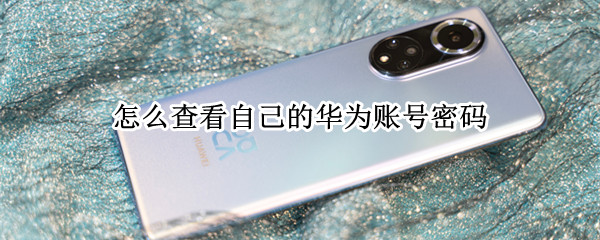 怎么查看自己的华为账号密码