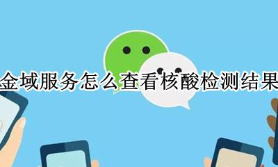 金域服务怎么查看核酸检测结果 金域服务为什么查不到核酸检测结果