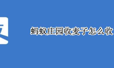 蚂蚁庄园种菜在哪里 蚂蚁庄园收麦子怎么收