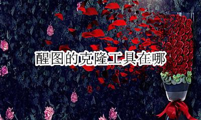 醒图的克隆工具在哪 醒图复制在哪