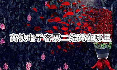 微信高铁票二维码在哪 高铁电子客票二维码在哪里