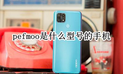 pefmoo是什么型号的手机 peatoo是什么型号的手机