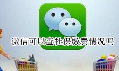 微信可以查社保缴费情况吗 微信怎么查社保个人缴费情况