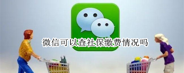 微信可以查社保缴费情况吗