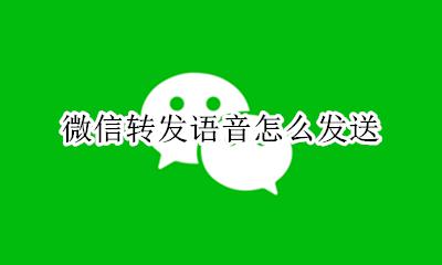 微信怎么转发语音? 微信转发语音怎么发送
