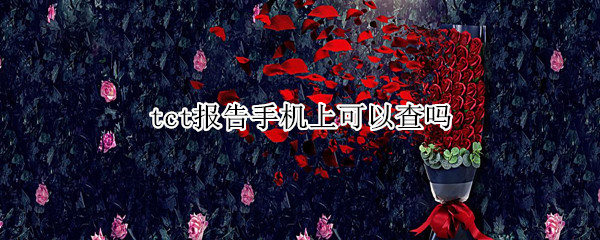 tct报告手机上可以查吗