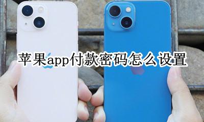 苹果app付款密码怎么设置 苹果手机app支付密码怎么设置