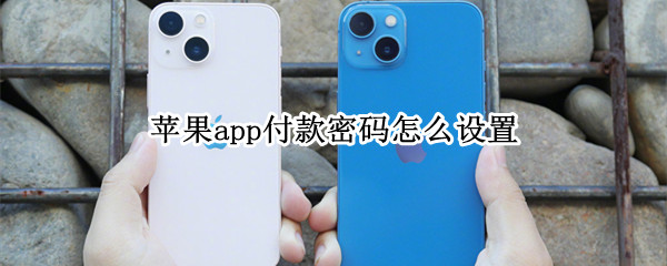 苹果app付款密码怎么设置