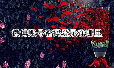 微博账号密码登录在哪里 微博的账号密码在哪里看